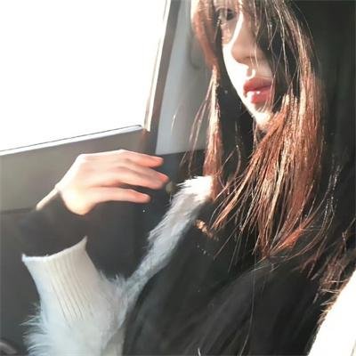 柯林·奎恩:红州蓝州 在线观看封面