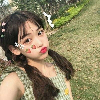 狐妖小红娘 在线观看封面