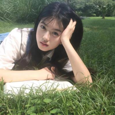 伯德小姐 在线观看封面